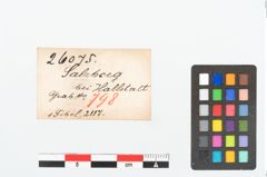 Etikett zu Bronzebrillenfibel (NHMW-PRAE-026075)